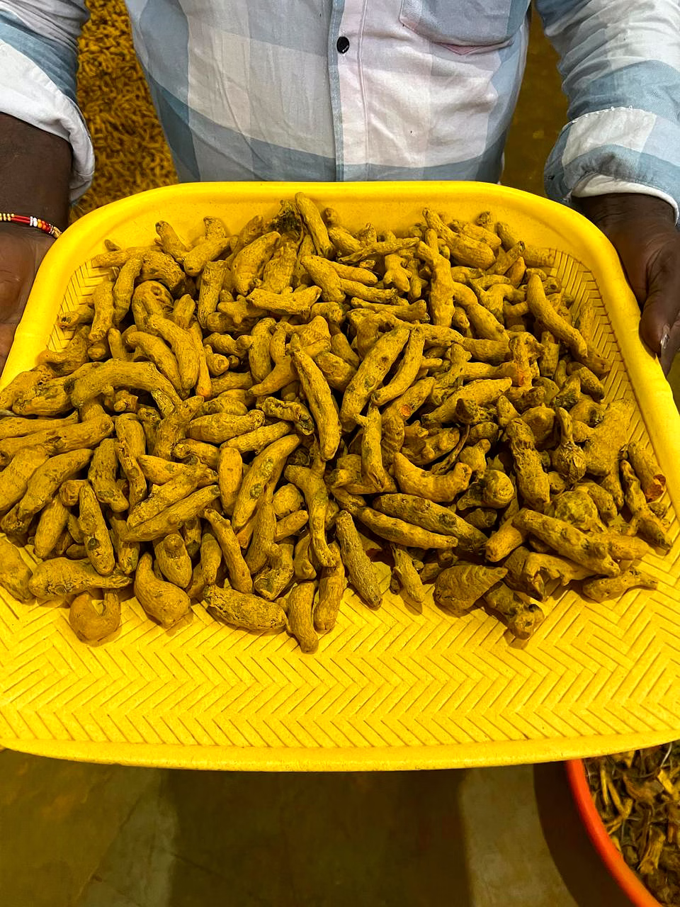 Turmeric image 4