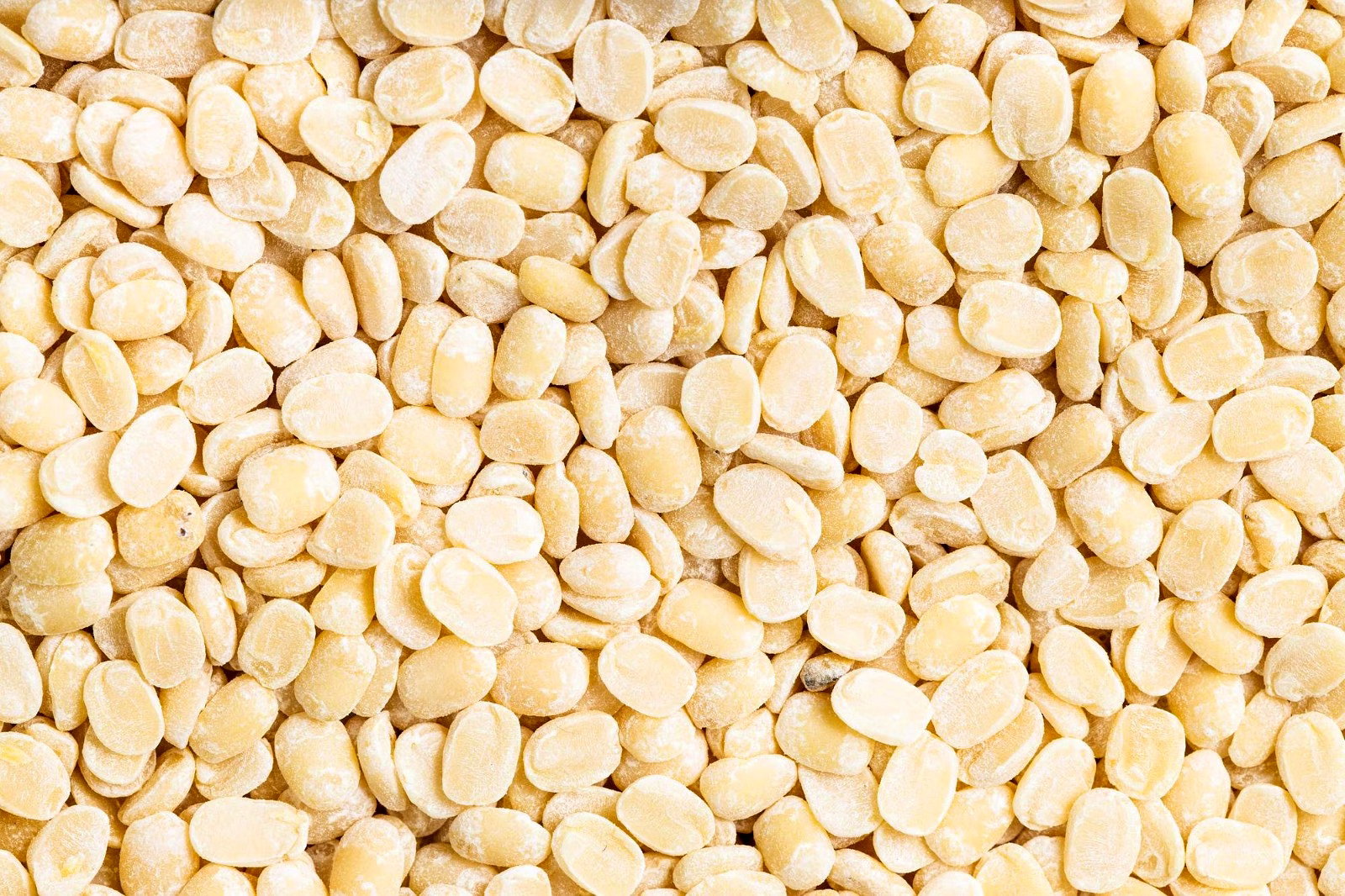 urad dal