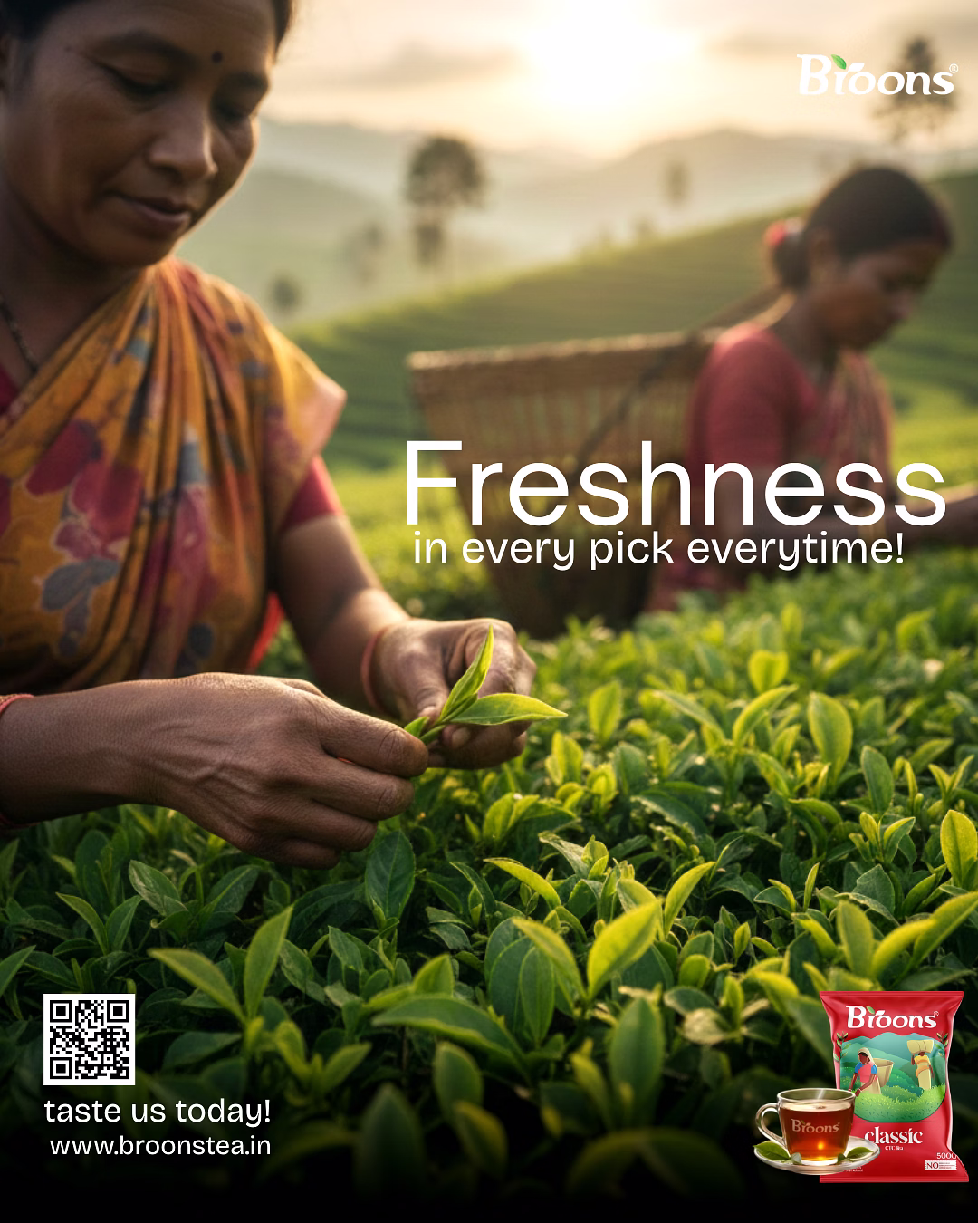 Black Tea CTC image 5
