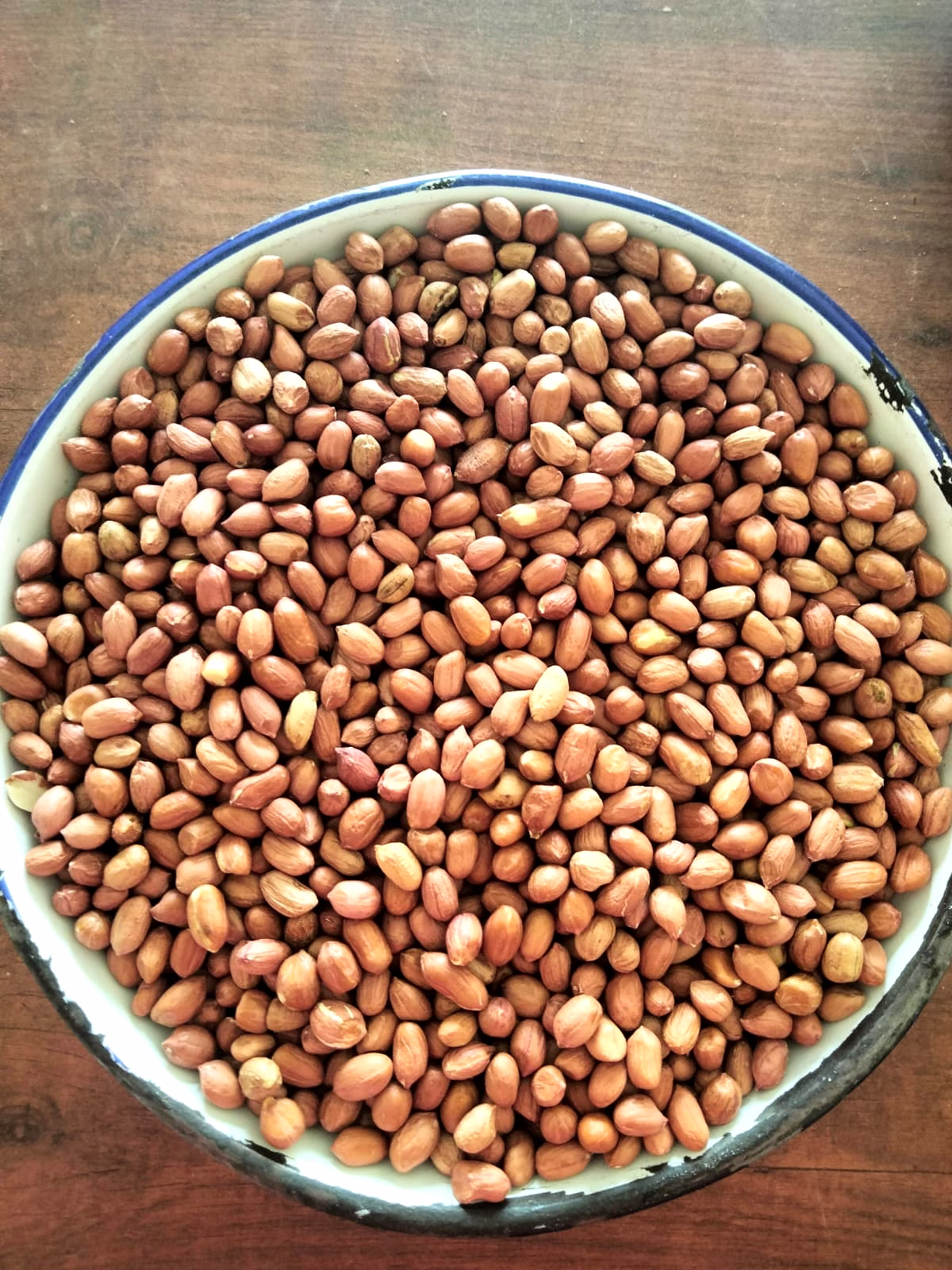 Groundnut seed image 2