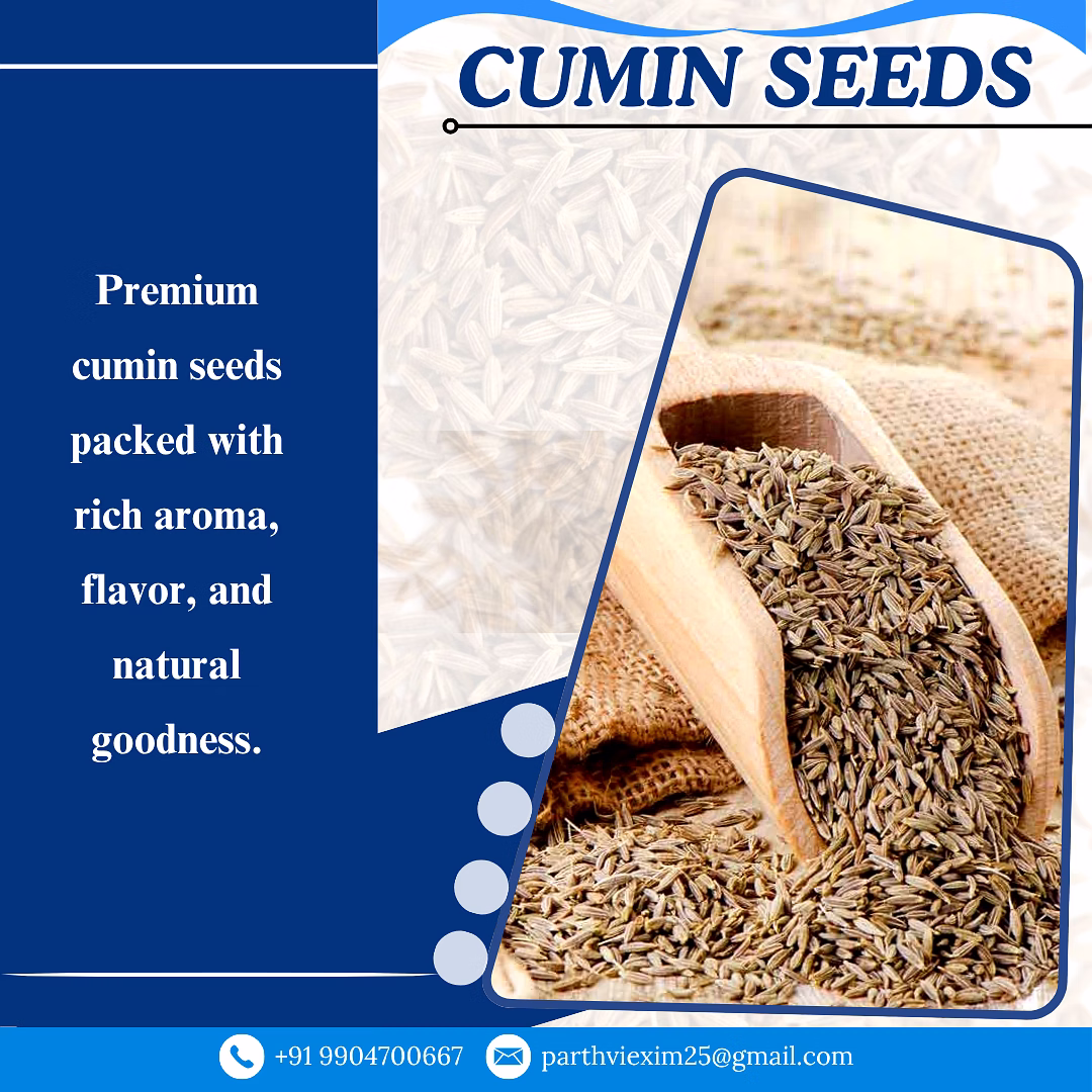 Cumin seeds with low moisture and strong aroma image 4