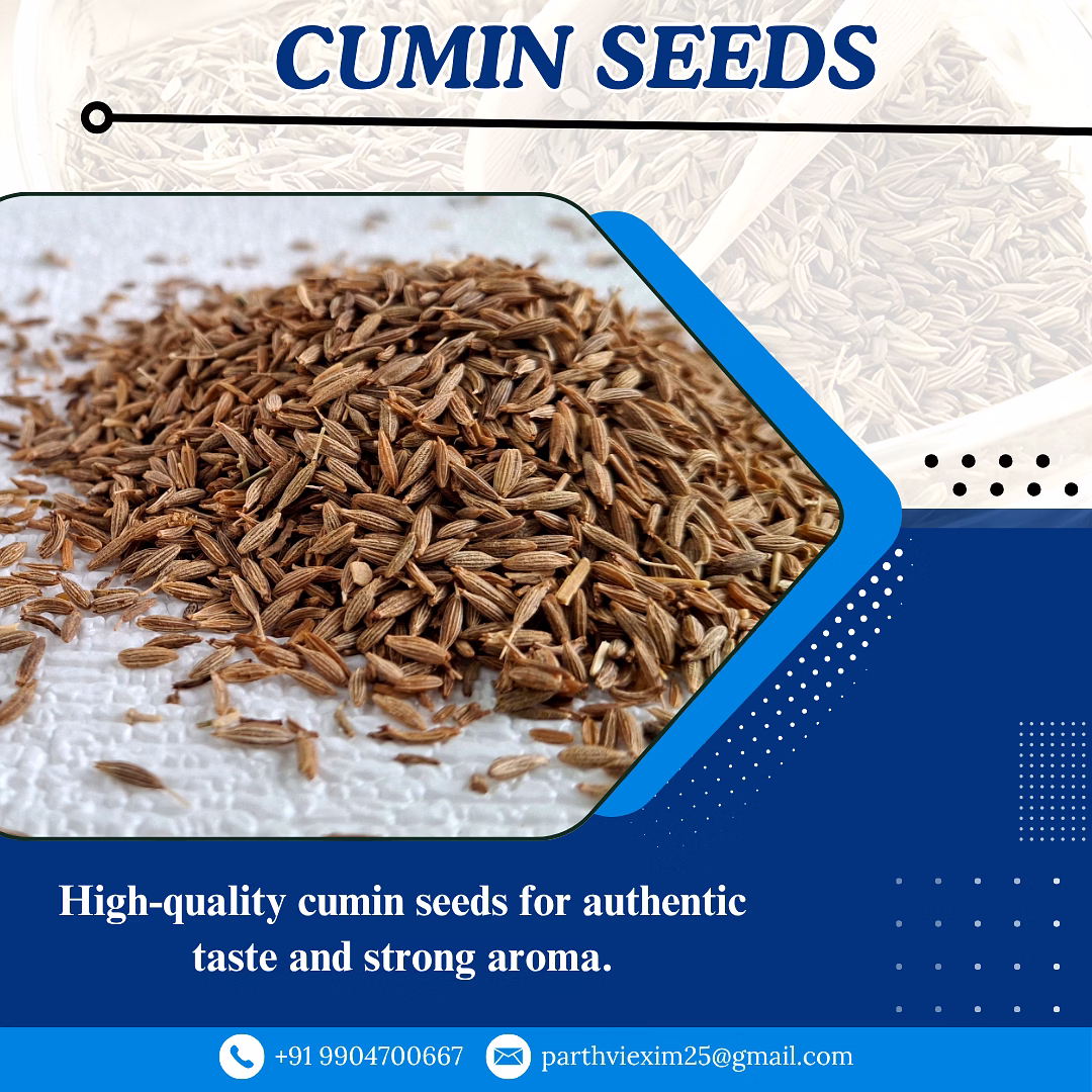 Cumin seeds with low moisture and strong aroma image 3
