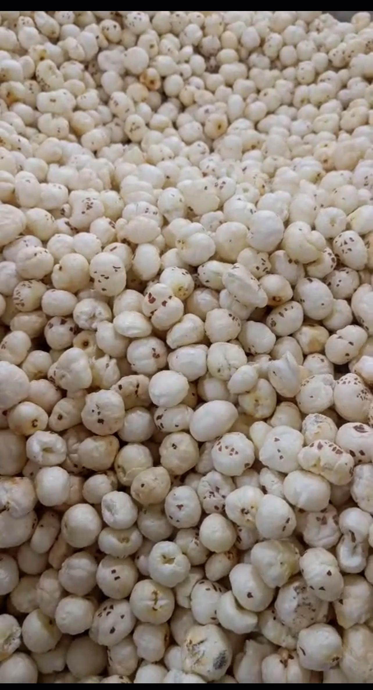 foxnuts
