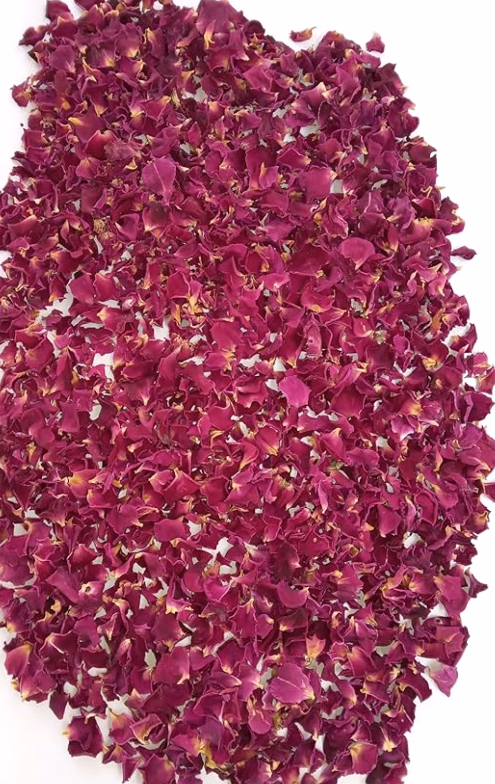rose petals