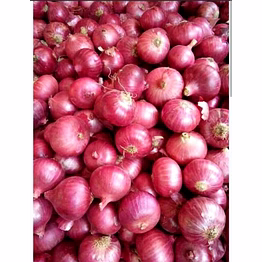 onion