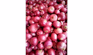ONION