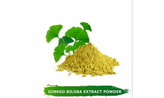 GINKGO BILOBA EXTRACT