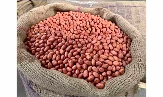 Peanuts