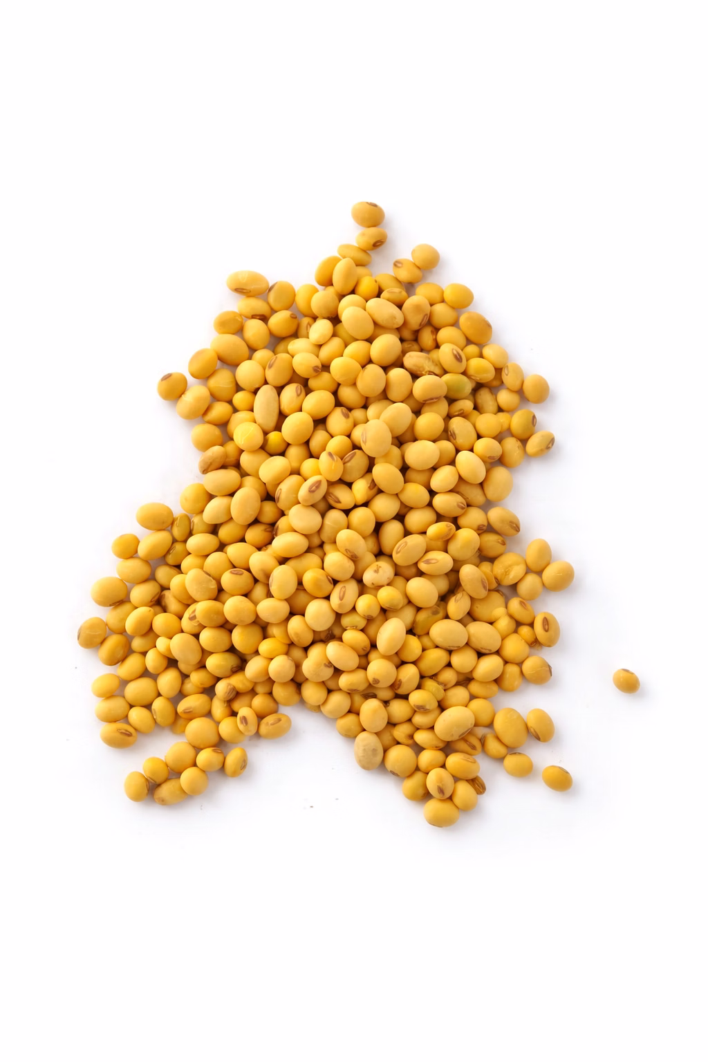 Soybeans image 1