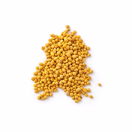 soybeans