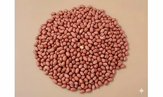 Bold Peanuts