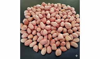 Java Peanuts