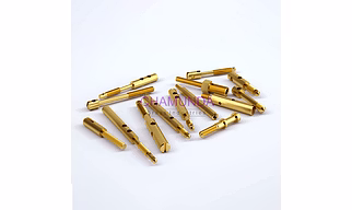 BRASS SEALING SCREW