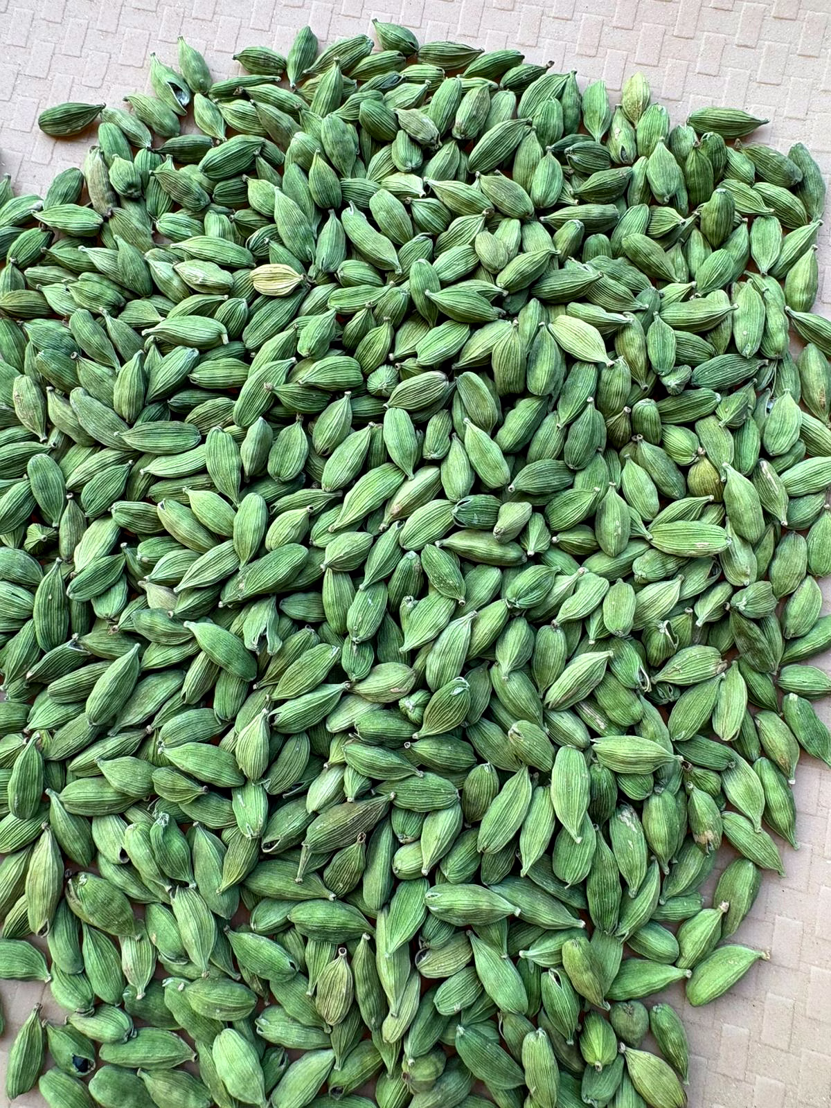 Green Cardamom image 1