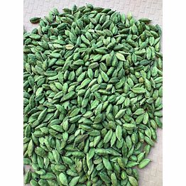 green cardamom
