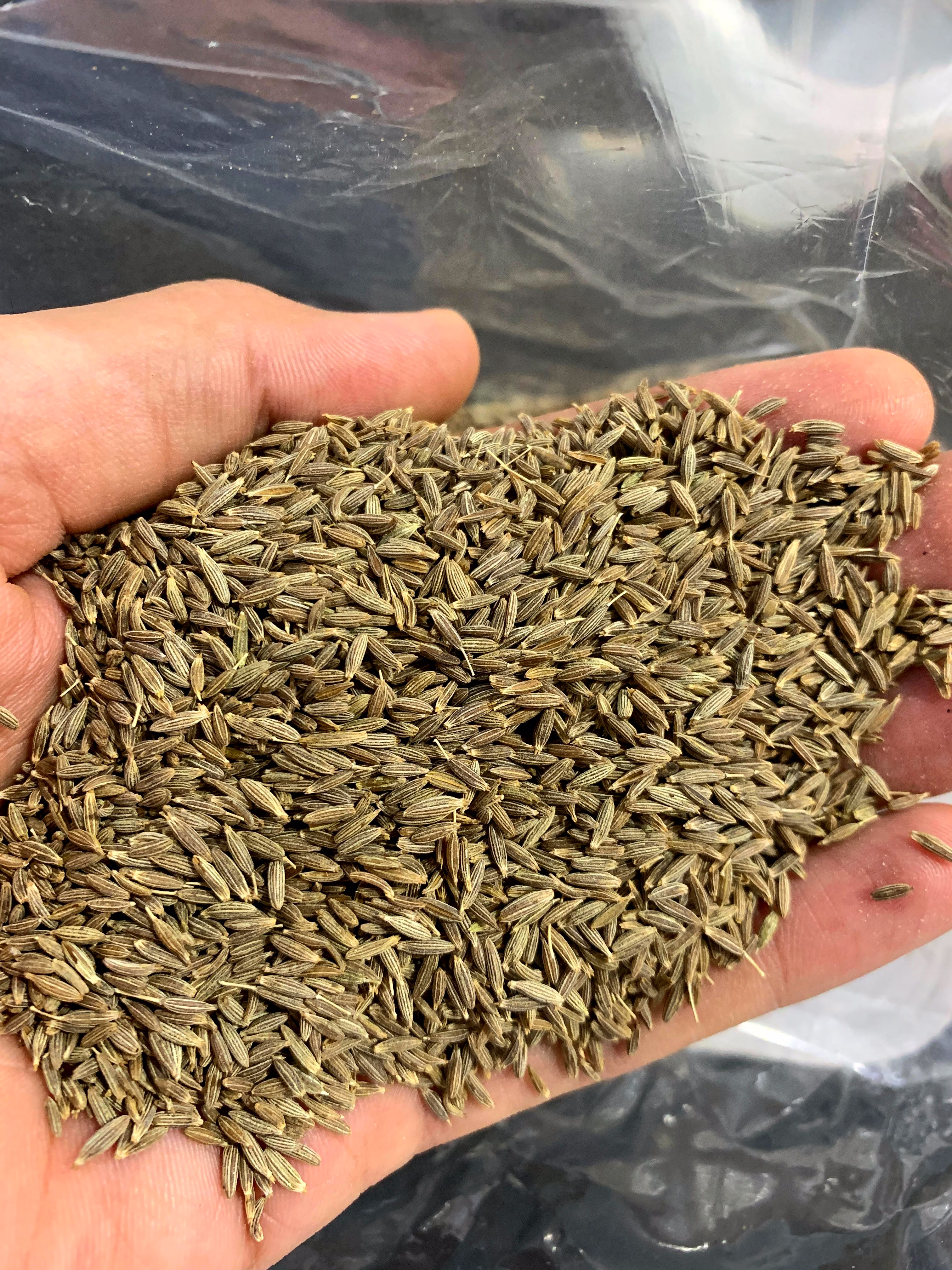 cumin seeds