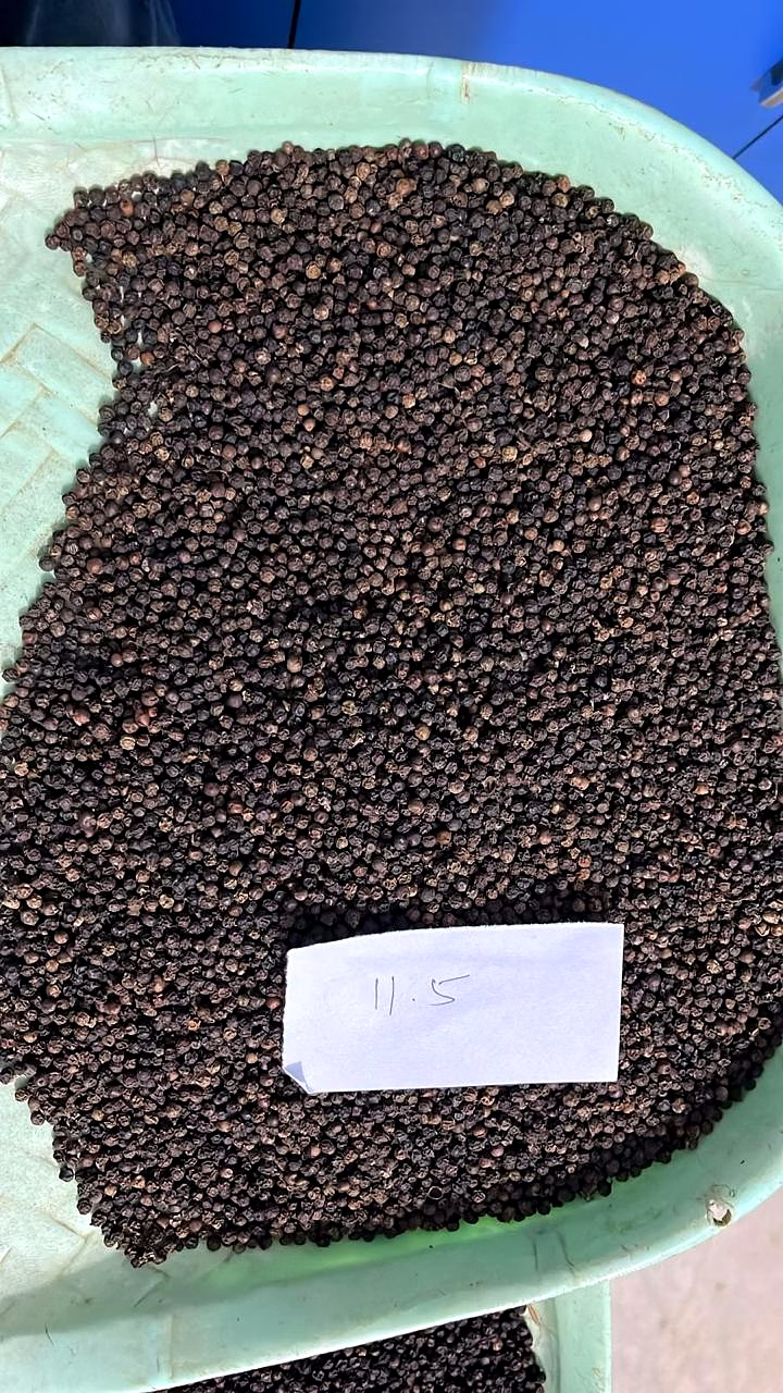 black paper whole