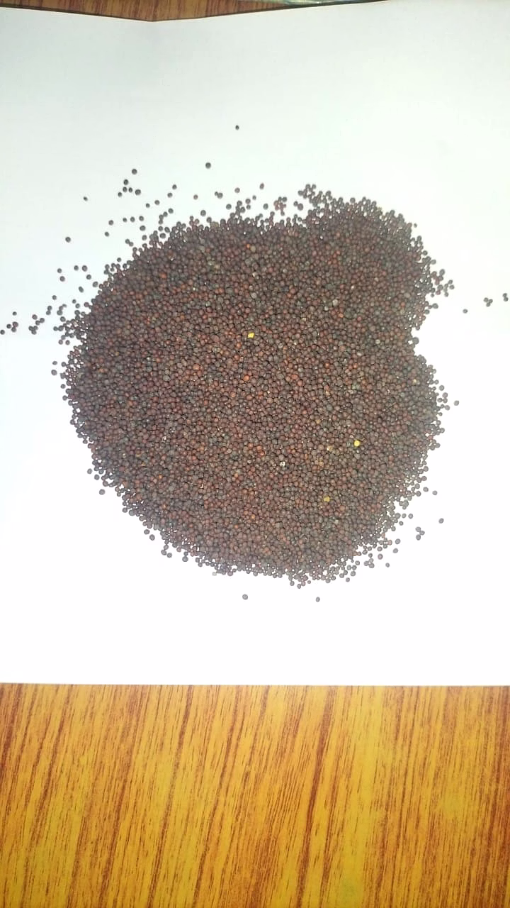 mustard seeds
