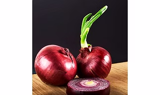 Fresh Onions