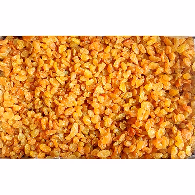 premium nasik golden aaa round raisin