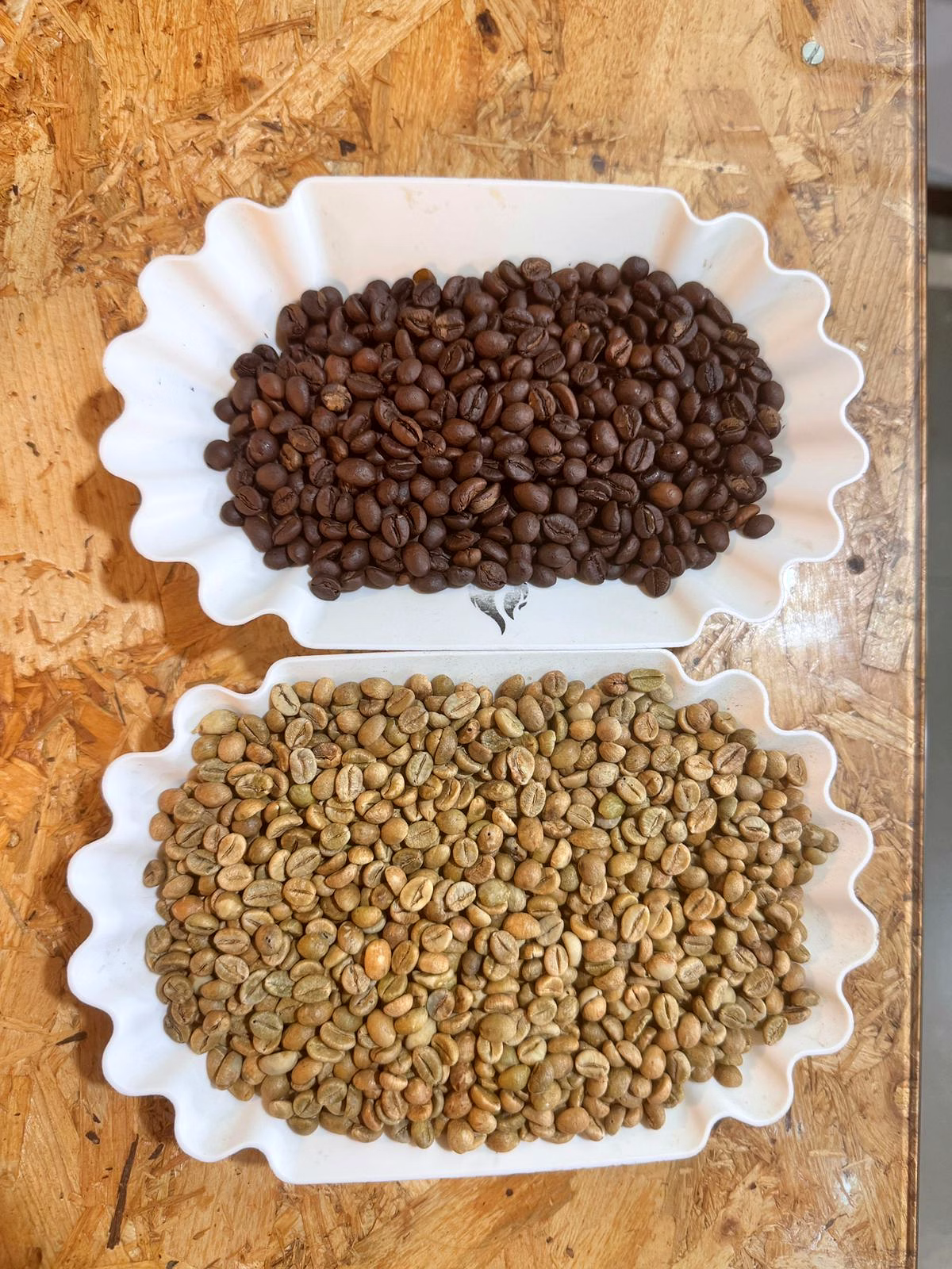 green coffee beans