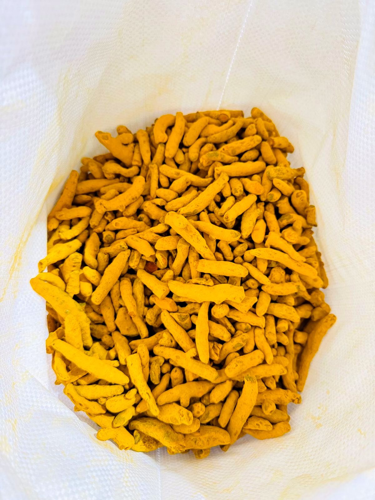 TURMERIC FINGER image 1