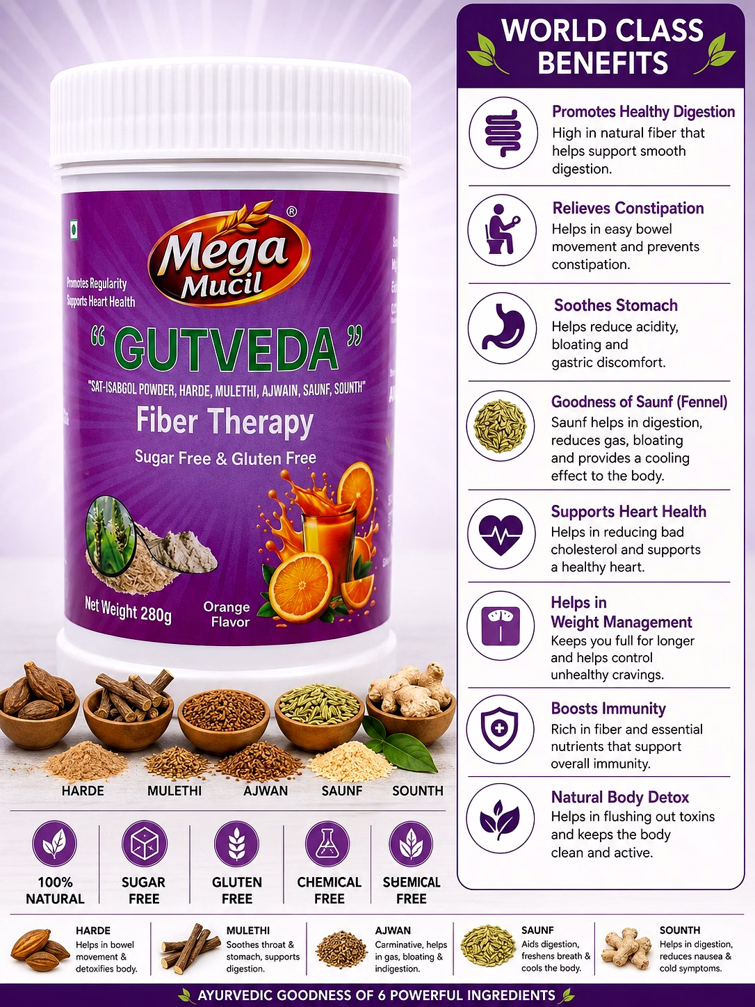 GUTVEDA PSYLLIUM MULETHI SOUF GINGER POWDER image 4