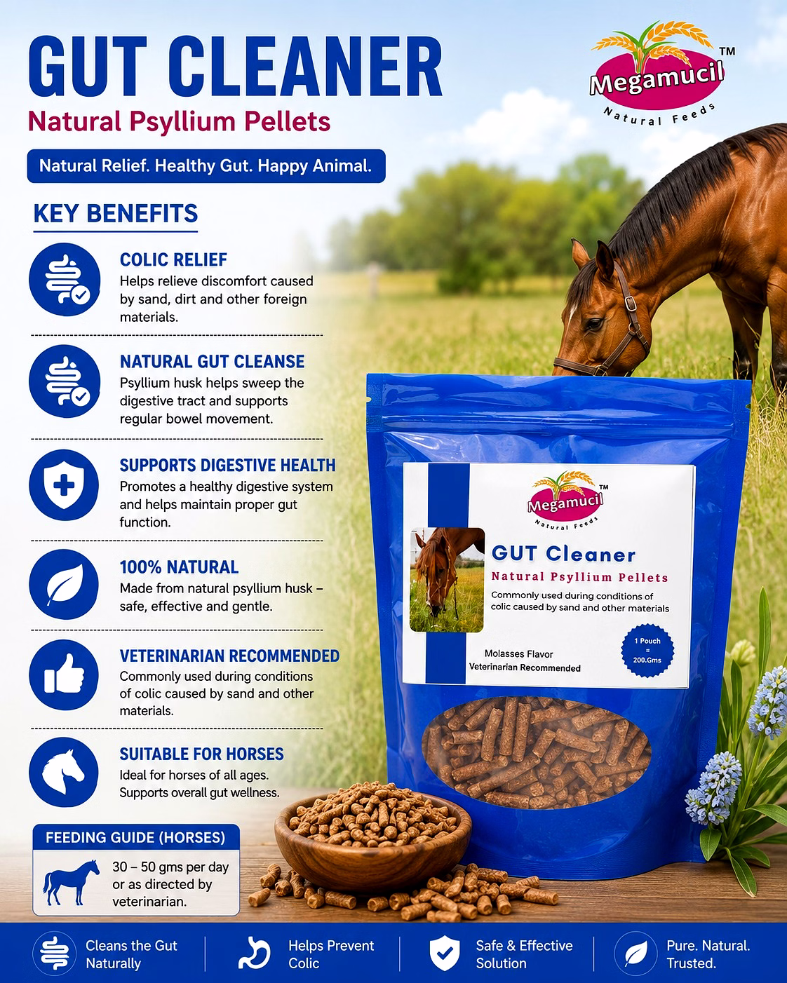 horse gut cleaner 200grms image 2