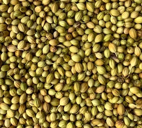 Coriander Seeds image 4