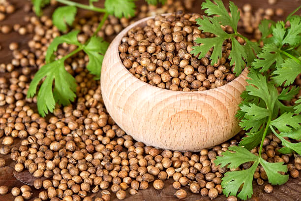 coriander seeds