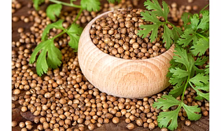 Coriander Seeds