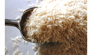 Rice