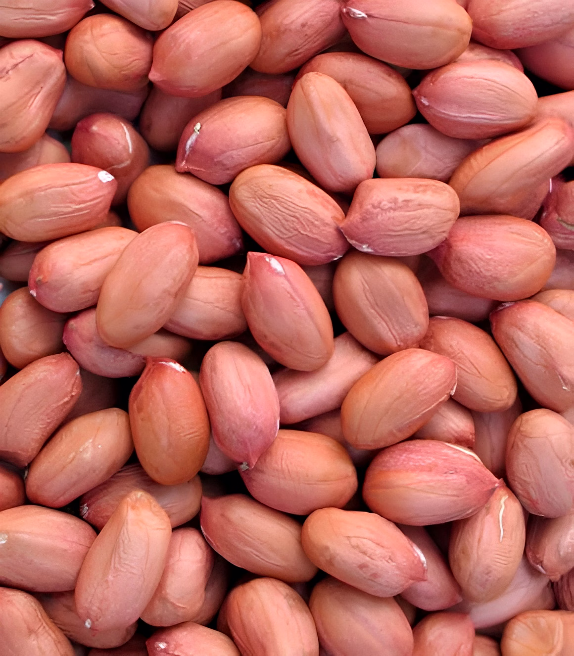 GROUNDNUTS image 1