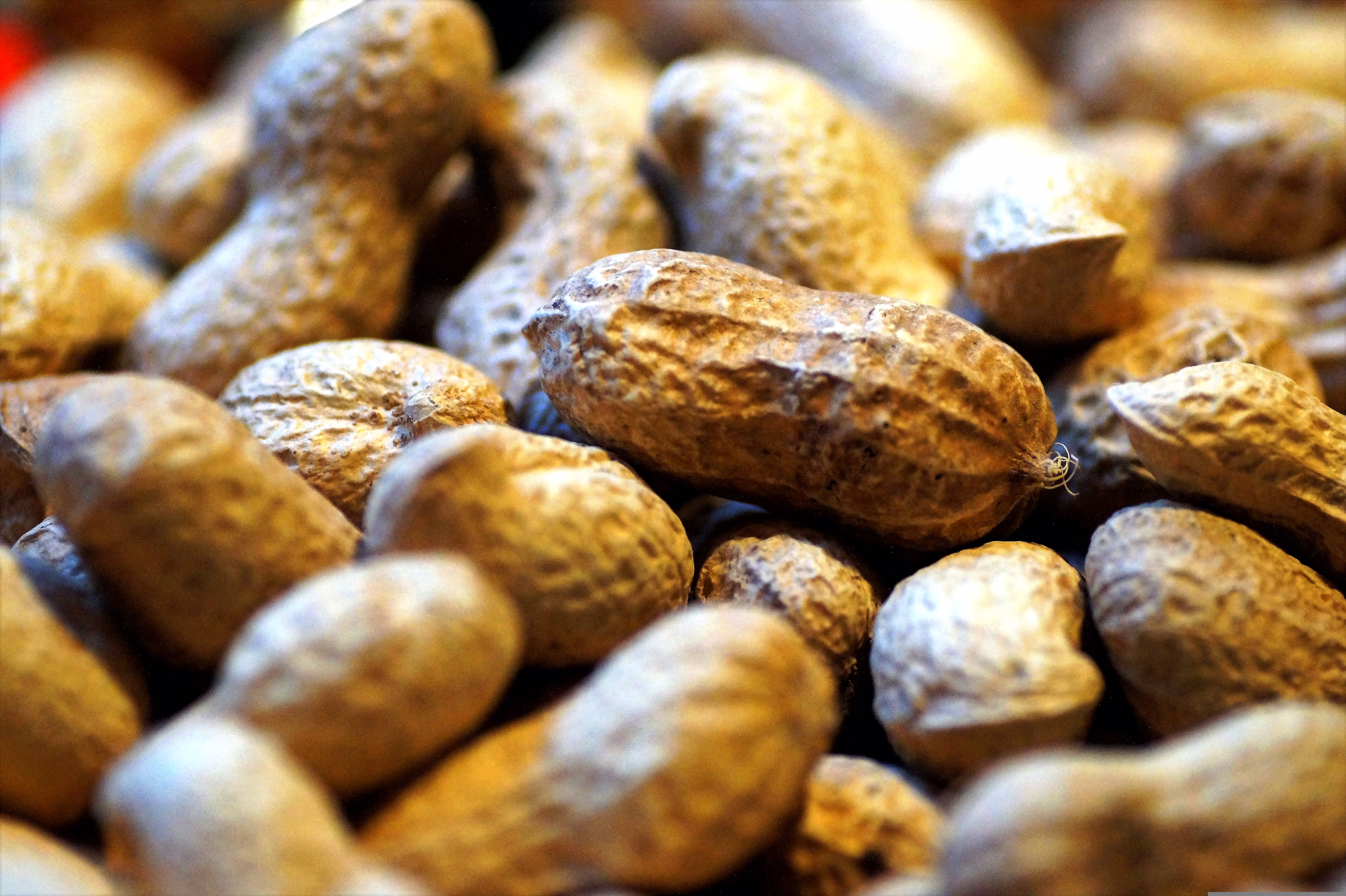 GROUNDNUTS image 2