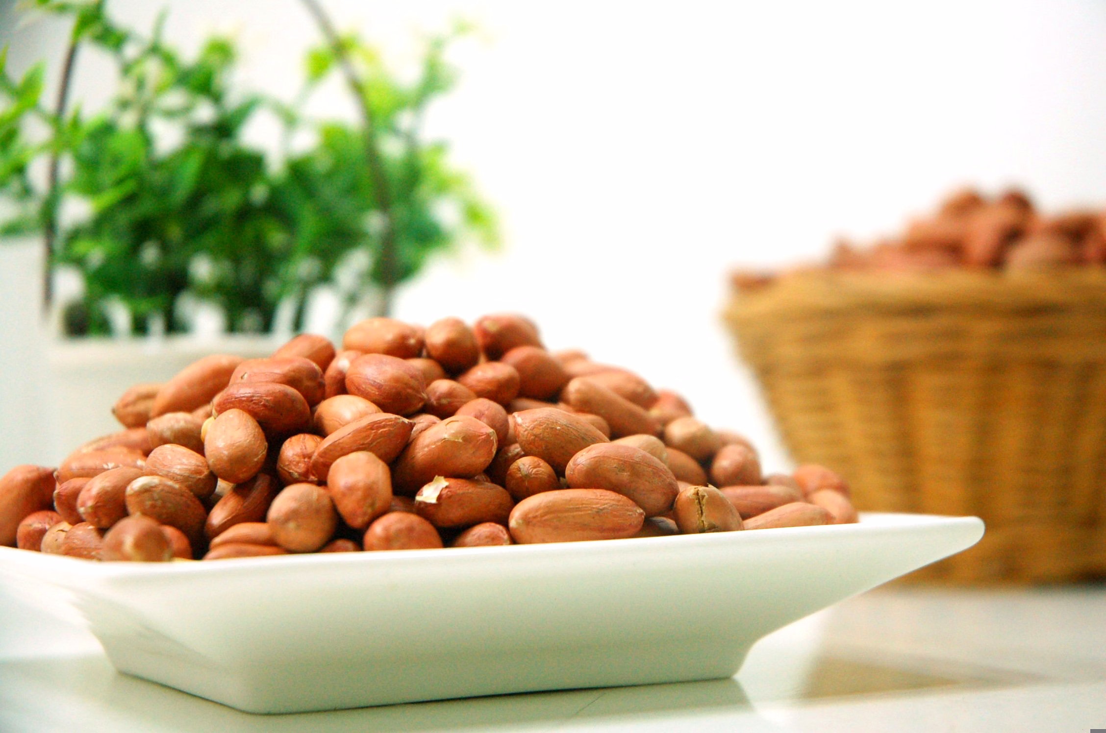 GROUNDNUTS image 3