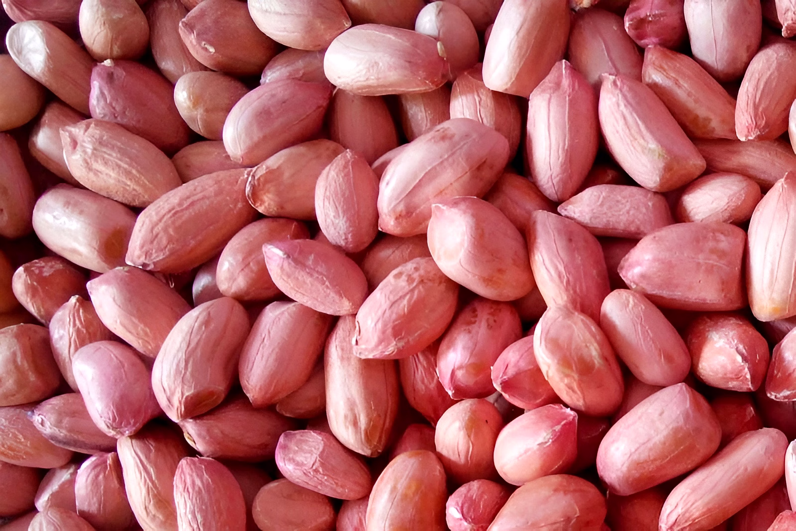 GROUNDNUTS image 4