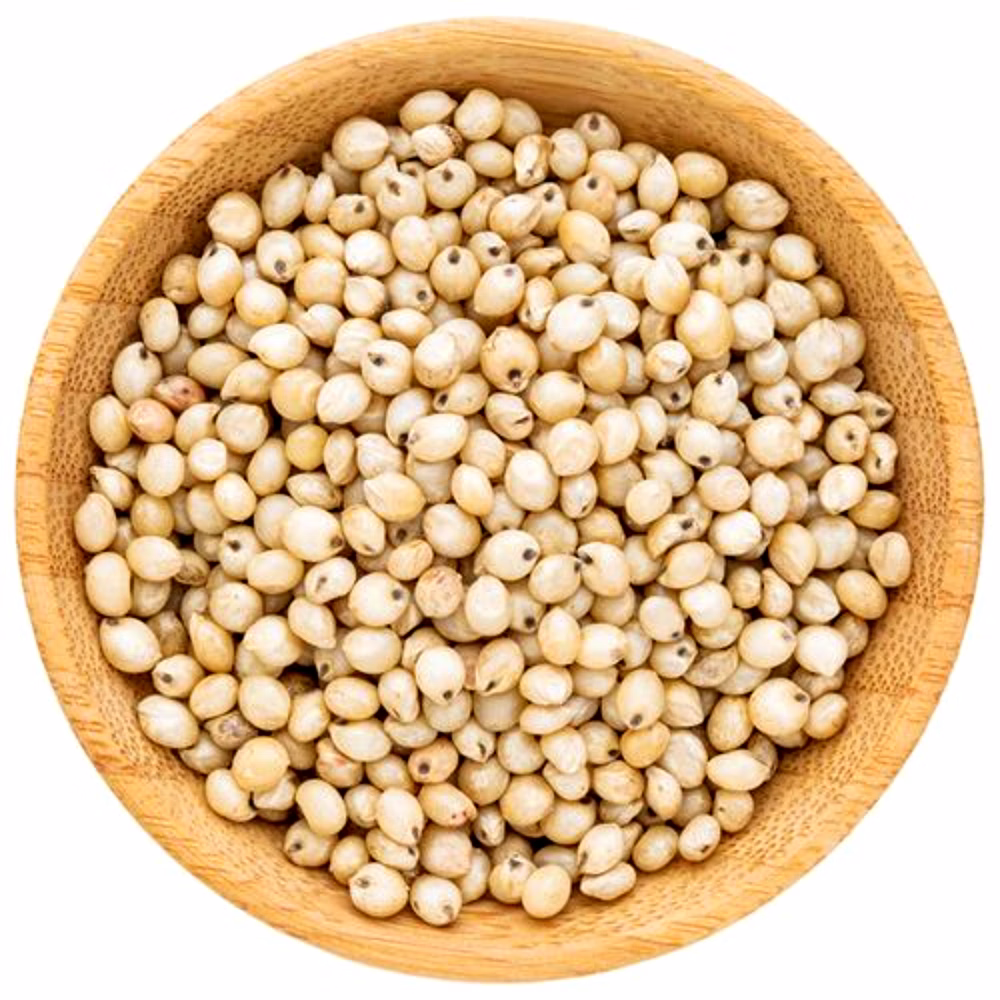 Sorghum image 2