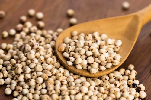 Sorghum image 4