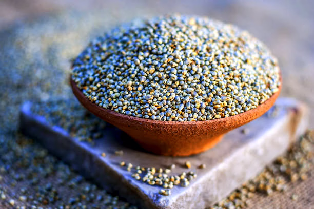 PEARL MILLET image 3