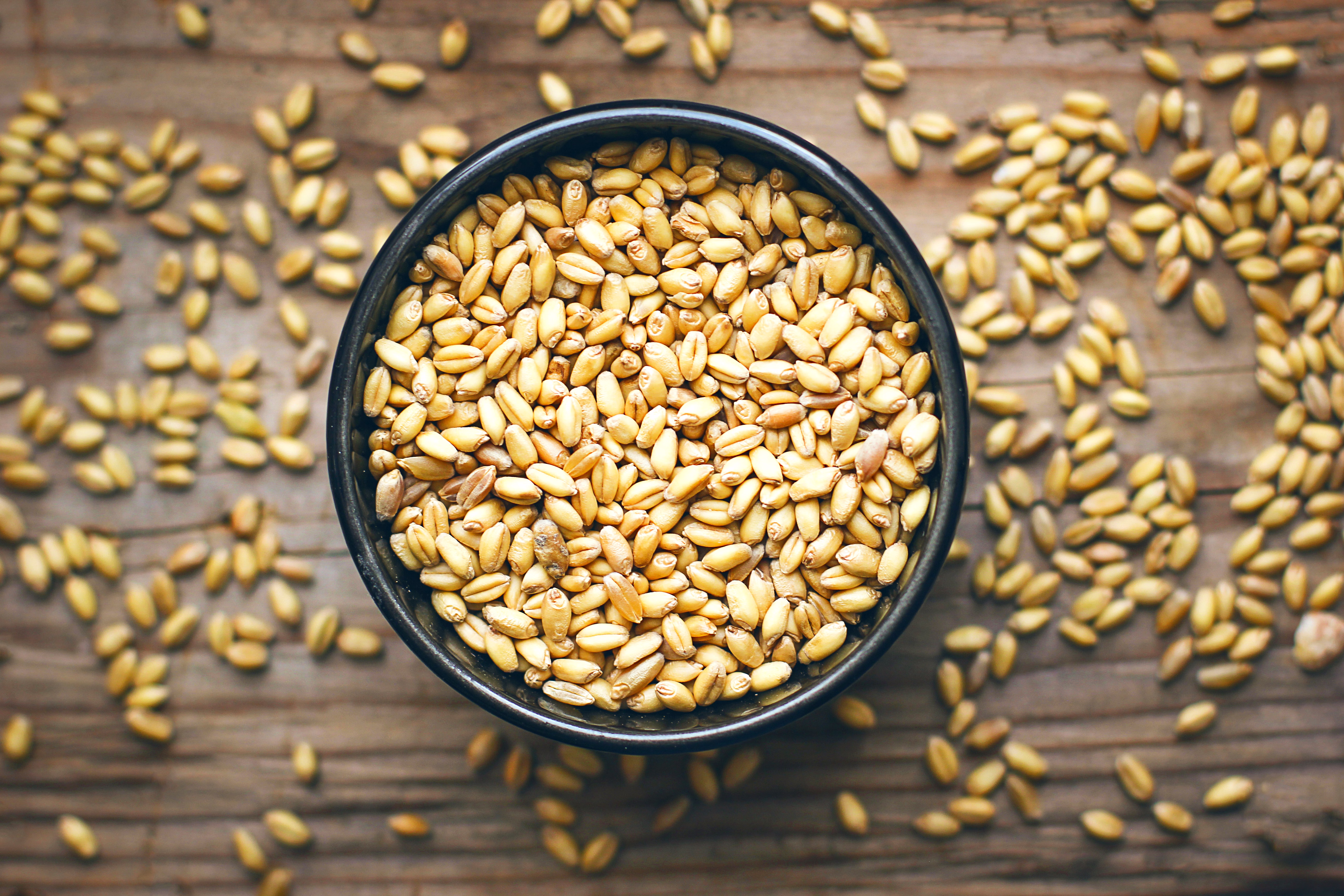 WHEAT image 3