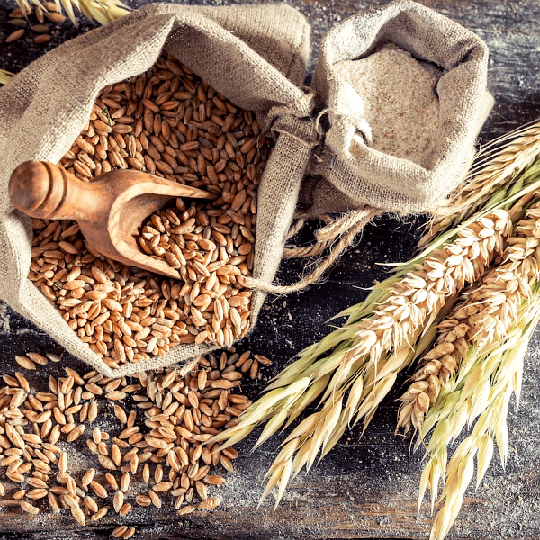 WHEAT image 5