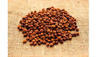CHICKPEAS