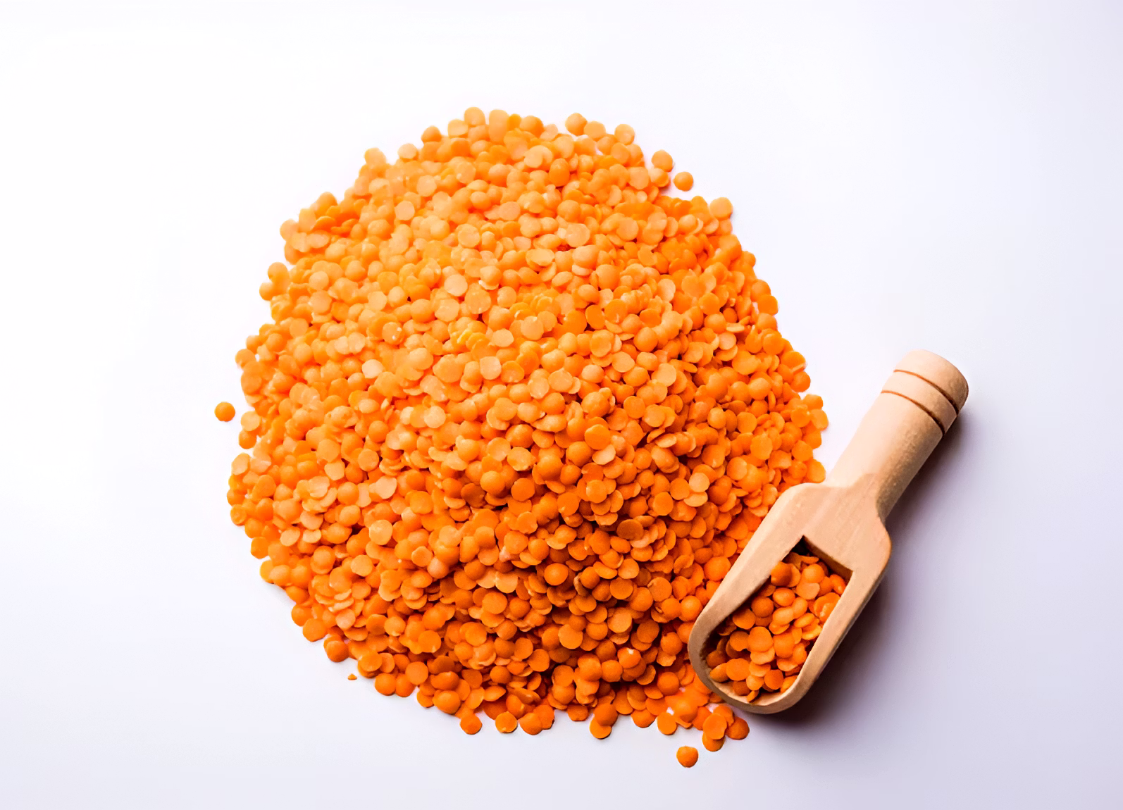 RED LENTILS image 2