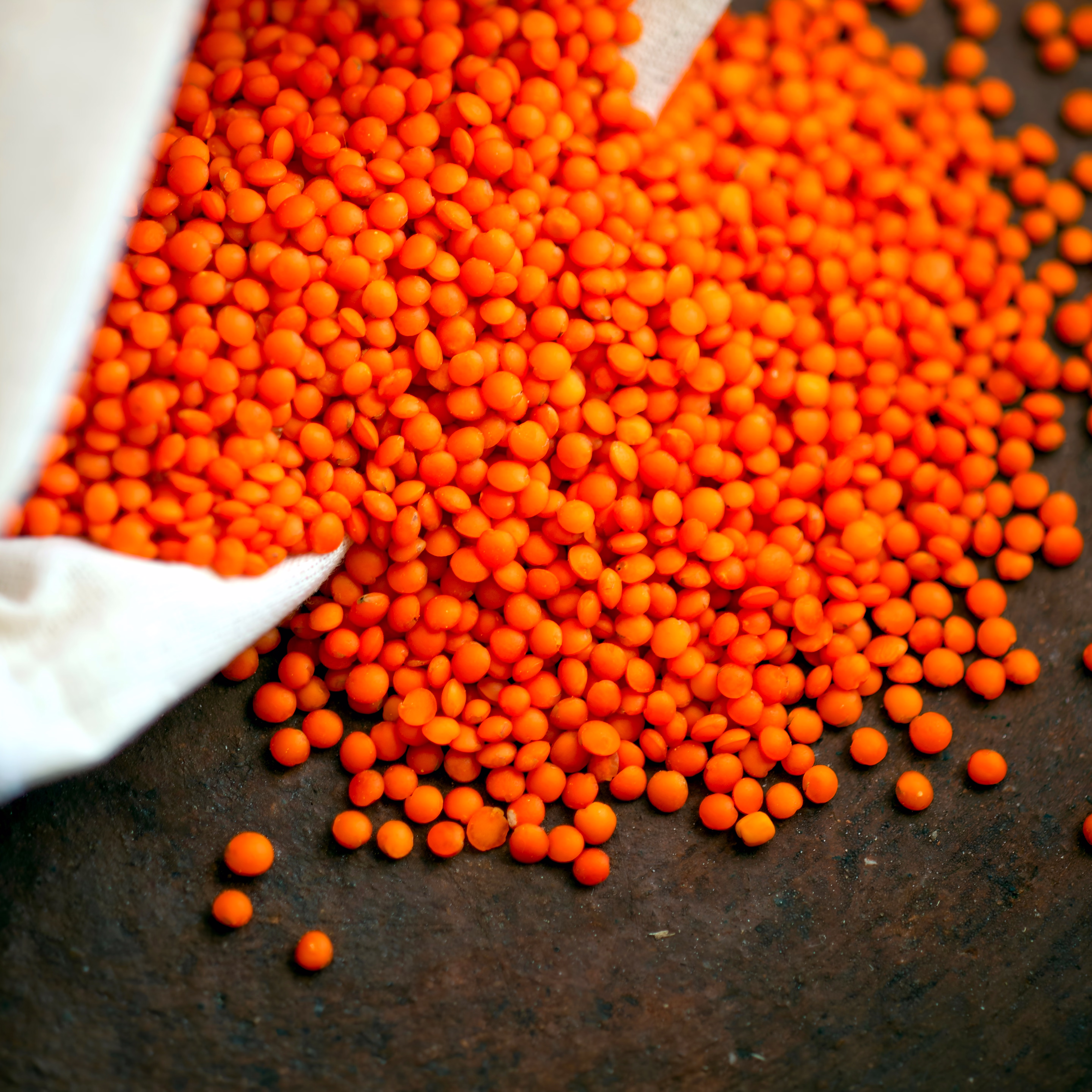 RED LENTILS image 4