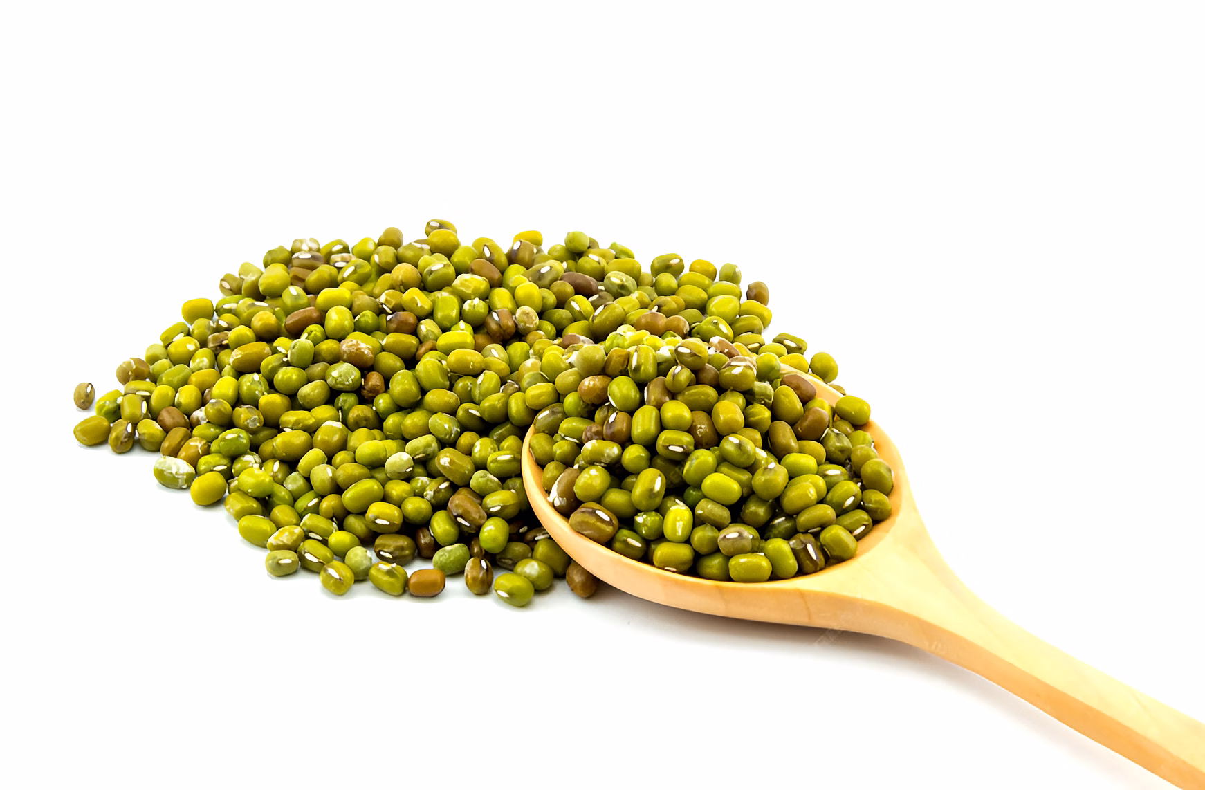 GREEN MUNG image 5