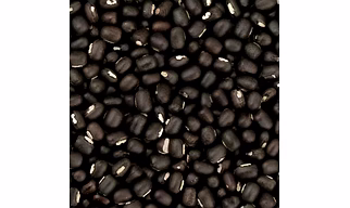 BLACK LENTIL