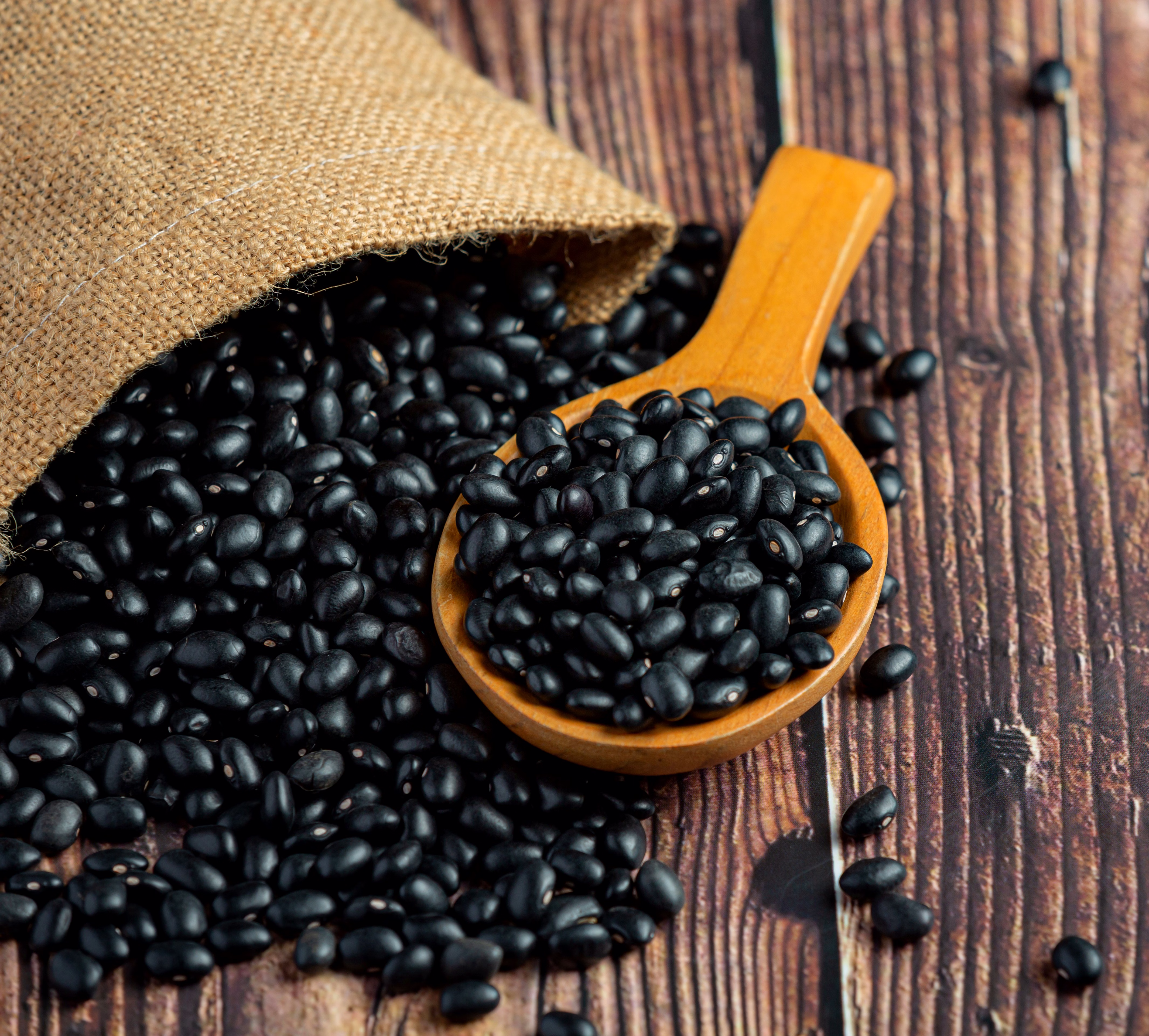 BLACK LENTIL image 3