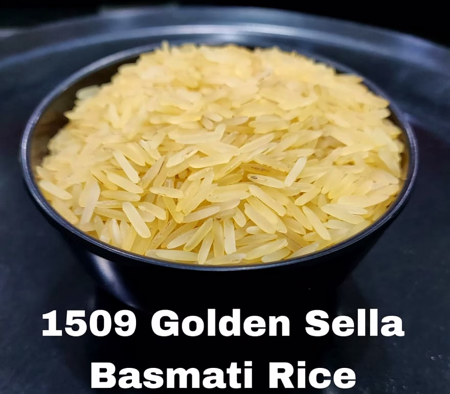rice