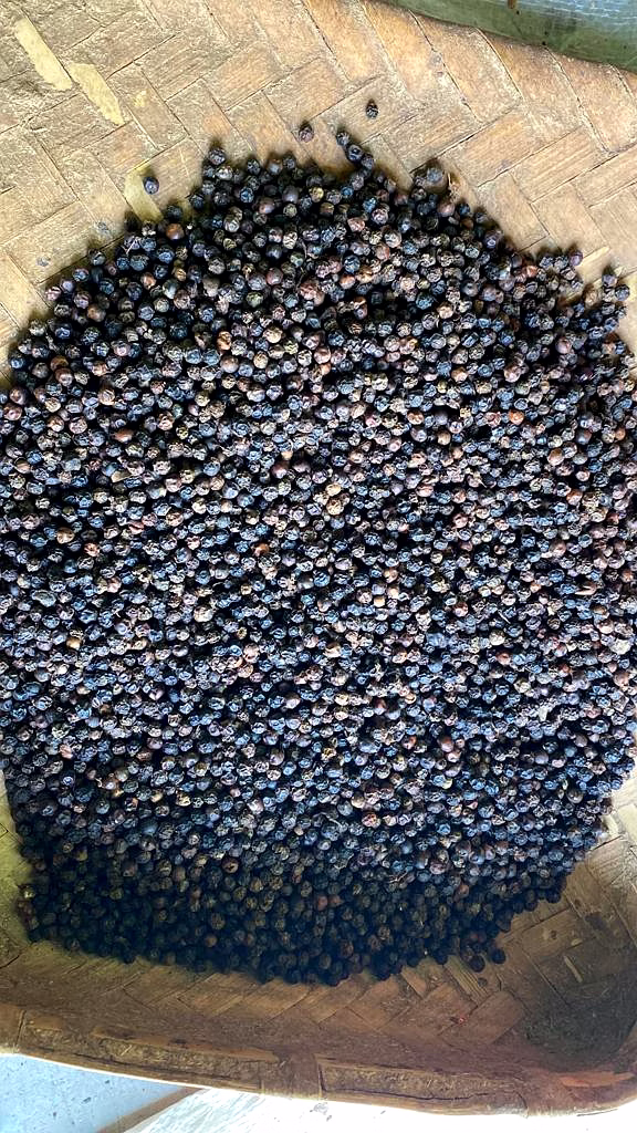 BLACK PEPPER image 2