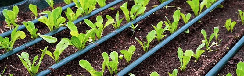 Drip Inline Flat Lateral Pipe image 4